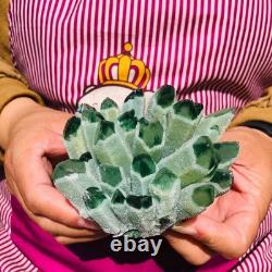 4pieces 4.05LB New Find green PhantomQuartz Crystal Cluster MineralSpecimen 1825