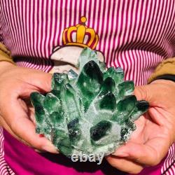 4pieces 4.05LB New Find green PhantomQuartz Crystal Cluster MineralSpecimen 1825