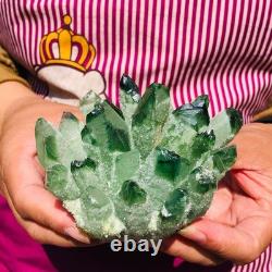 4pieces 4.07LB New Find green PhantomQuartz Crystal Cluster MineralSpecimen 1834