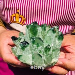 4pieces 4.07LB New Find green PhantomQuartz Crystal Cluster MineralSpecimen 1834