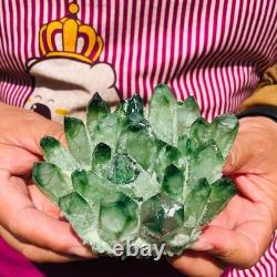 4pieces 4.07LB New Find green PhantomQuartz Crystal Cluster MineralSpecimen 1834