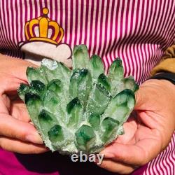 4pieces 4.07LB New Find green PhantomQuartz Crystal Cluster MineralSpecimen 1834