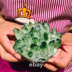 4pieces 4.07LB New Find green PhantomQuartz Crystal Cluster MineralSpecimen 1834