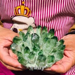 4pieces 4.07LB New Find green PhantomQuartz Crystal Cluster MineralSpecimen 1834