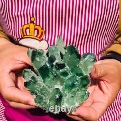 4pieces 4.07LB New Find green PhantomQuartz Crystal Cluster MineralSpecimen 1834