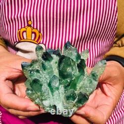 4pieces 4.07LB New Find green PhantomQuartz Crystal Cluster MineralSpecimen 1834
