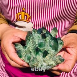 4pieces 4.07LB New Find green PhantomQuartz Crystal Cluster MineralSpecimen 1834