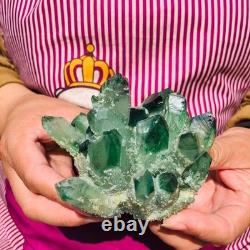 4pieces 4.07LB New Find green PhantomQuartz Crystal Cluster MineralSpecimen 1834