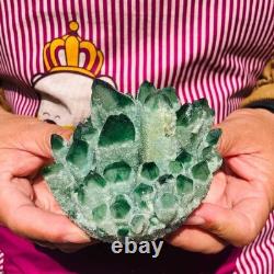 4pieces 4.07LB New Find green PhantomQuartz Crystal Cluster MineralSpecimen 1834