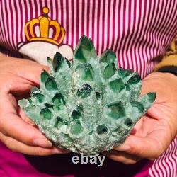 4pieces 4.07LB New Find green PhantomQuartz Crystal Cluster MineralSpecimen 1834