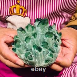 4pieces 4.07LB New Find green PhantomQuartz Crystal Cluster MineralSpecimen 1834