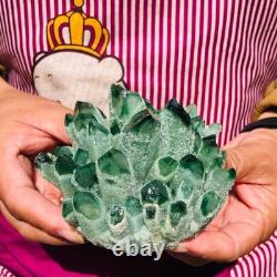 4pieces 4.07LB New Find green PhantomQuartz Crystal Cluster MineralSpecimen 1834
