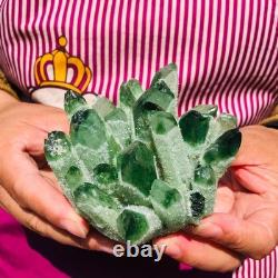 4pieces 4.07LB New Find green PhantomQuartz Crystal Cluster MineralSpecimen 1834