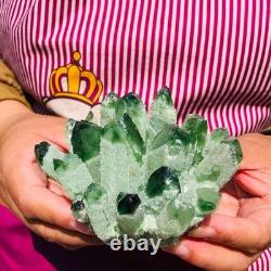 4pieces 4.07LB New Find green PhantomQuartz Crystal Cluster MineralSpecimen 1834