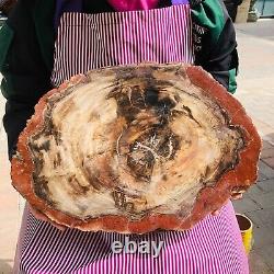 5030g (total weight) natural petrified wood fossil pieces Madagascar 1165