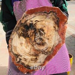 5030g (total weight) natural petrified wood fossil pieces Madagascar 1165