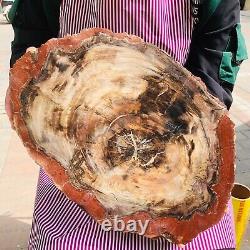 5030g (total weight) natural petrified wood fossil pieces Madagascar 1165