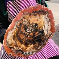 5030g (total weight) natural petrified wood fossil pieces Madagascar 1165