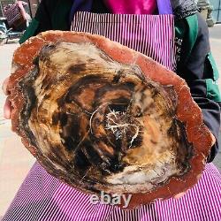 5030g (total weight) natural petrified wood fossil pieces Madagascar 1165