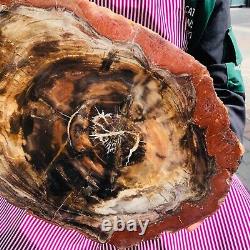 5030g (total weight) natural petrified wood fossil pieces Madagascar 1165