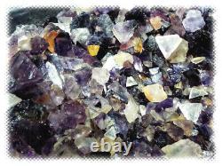 50lb LOT Purple / Clear Cave-in-Rock Illinois Fluorite Crystal Pieces Mine Run