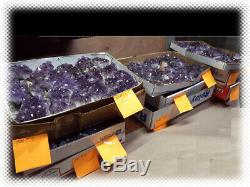 50lbs AMETHYST GEODE PIECES LOT READY FOR RESELL