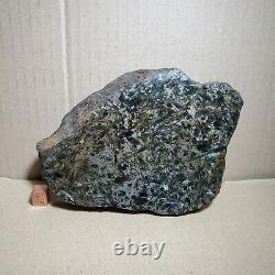 520g Rare olivine crystal black gold phoenix meteorite piece from Xinjiang deser
