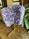 59lb Amethyst! Custom Stand 21 Tall Over 14 Wide! Amazing Collectors Piece