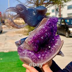 5.29LB Natural agate amethyst handmade crow crystal carving piece