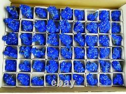 5 X WHOLESALE BOX CHALCANTHITE 240 PIECES ELECTRIC BLUE alunite, alum flat