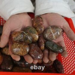 60 Pieces 11LB Cherry Creek Jasper Picasso Crystal Tumbled Palm Stone Healing