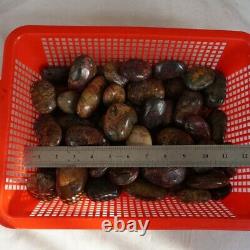 60 Pieces 11LB Cherry Creek Jasper Picasso Crystal Tumbled Palm Stone Healing