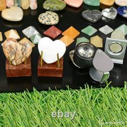 6300 Ct Natural Crystal Healing Mineral Real Gemstones Specimen Gift Box92 Pcs