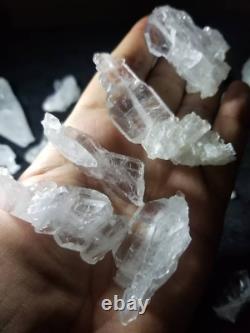 77 Pieces Lot of Faden Quartz Crystals/Specimens at Whole Sale Price