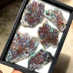 794 gr Rare Chrysocolla copper in chalcedony Polished Collector pieces Parcel 01