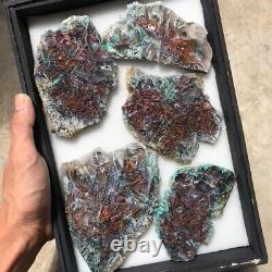 794 gr Rare Chrysocolla copper in chalcedony Polished Collector pieces Parcel 01