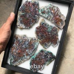 794 gr Rare Chrysocolla copper in chalcedony Polished Collector pieces Parcel 01
