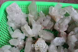 7LB 26 Pieces Natural Clear Quartz Crystal Cluster Points Whalesales Price