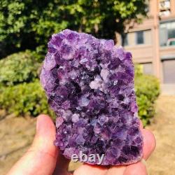 7 Pieces 5.5LB Natural Uruguayan Amethyst Cave Specimen Healing 3276