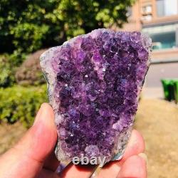 7 Pieces 5.5LB Natural Uruguayan Amethyst Cave Specimen Healing 3276
