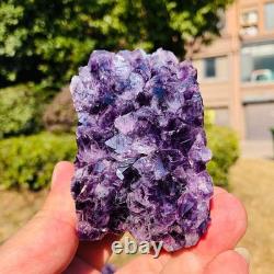 7 Pieces 5.5LB Natural Uruguayan Amethyst Cave Specimen Healing 3276