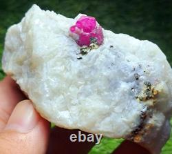830grams10pieces lot of lovely natural ruby specimens on matrixfrom Afghanistan