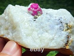 830grams10pieces lot of lovely natural ruby specimens on matrixfrom Afghanistan