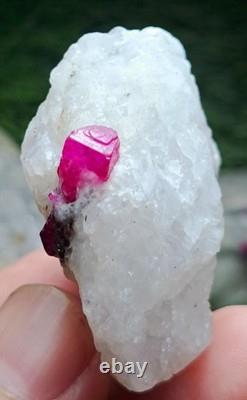 830grams10pieces lot of lovely natural ruby specimens on matrixfrom Afghanistan