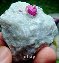 830grams10pieces lot of lovely natural ruby specimens on matrixfrom Afghanistan