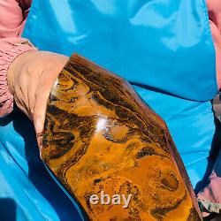 8.6LB Natural tiger's-eye slab quartz freeform crystal piece healing decor