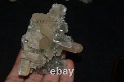 8-Piece Wholesale Mineral Lot Stilbite on green Heulandite (India)
