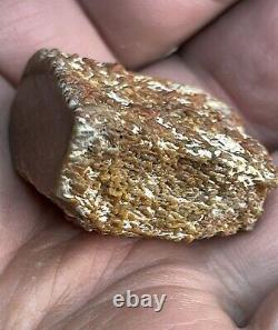 AGATIZED DINOSAUR GEM BONE COLLECTION PIECEFINISHED POLISHED22.90Grams