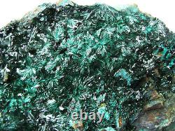 ATACAMITE BRILLIANT DEEP CRYSTALS with CHRYSOCOLLA from CHILE. MASTER PIECE