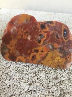 A Very Rare Agate From Wisconsin Polished A Collection Piece